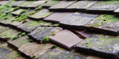 Udimore roof repair costs